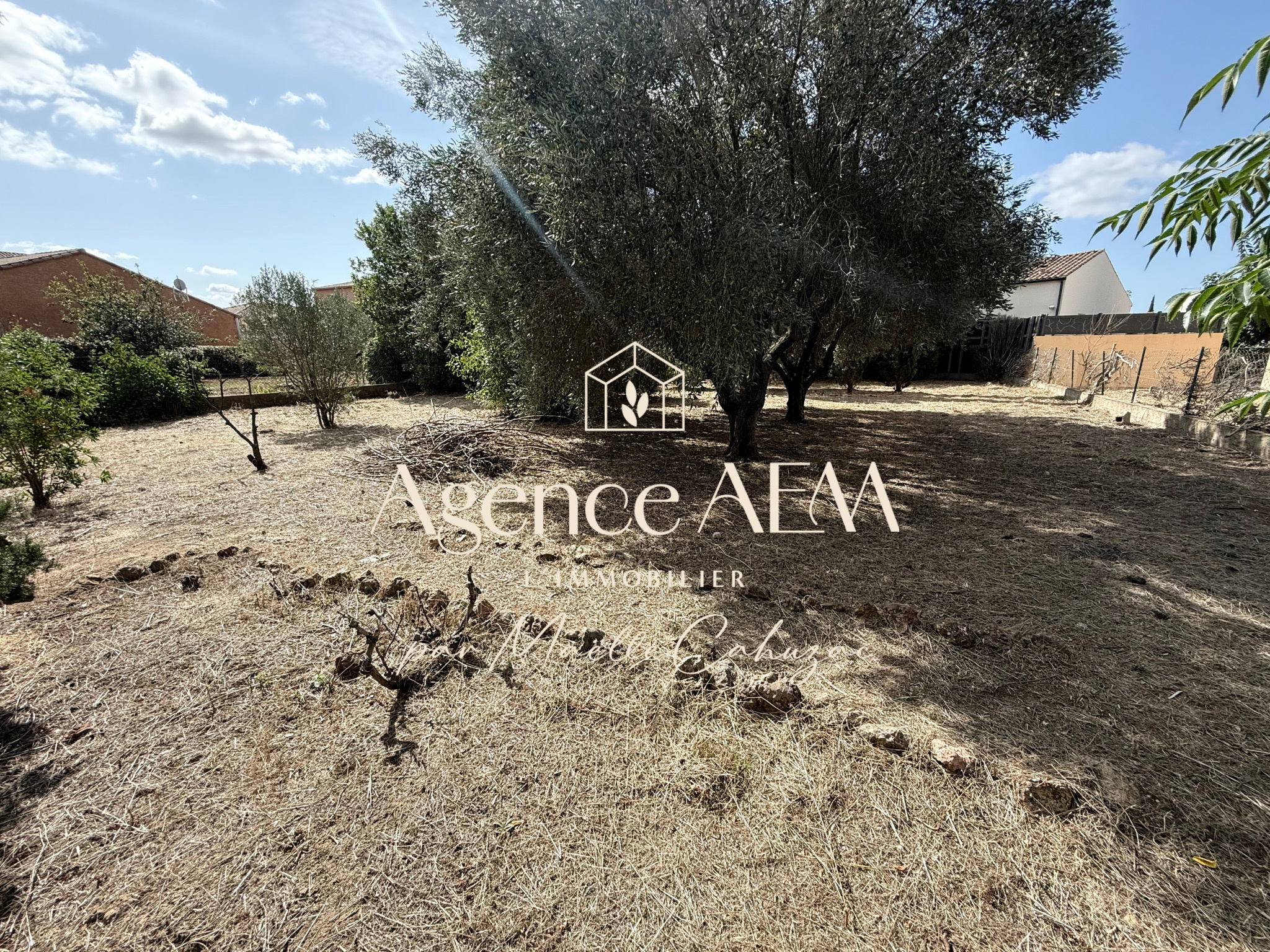 Agence immobilière de AEM Loc Immo